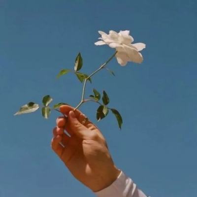 欧亿4娱乐qv396667截图2