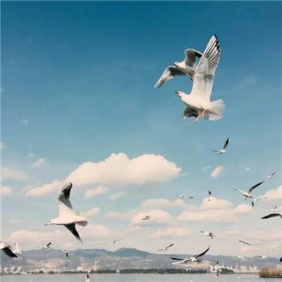 特步2025年净利增幅超10%:产品力驱动增长,跑鞋矩阵持续优化